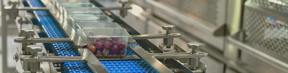 BNP Leasing Solutions UK enters food and drink equipment market